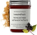 Dr. Sebi Inšpiroval Alkalické Organické Čerstvé bazové zázvorové more Moss Gel - prírodné esenciálne vitamíny, Minerály Plus Antioxidanty Wild Zber od Saint Lucia (8 oz.)