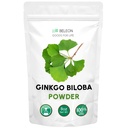 Ginkgo Biloba prášok 8 oz - Pure Natural Supplement, Podpora mozgu, Mental Alertness, Filler zadarmo