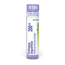 Boiron Echinacea Purpurea 200Ck pre Bolestivé bolesti hrdla s únavou - 80 Pelletov