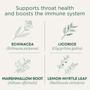 Tradičné lieky Lozenges, Organic Throat Coat Lemon Ginger Echinacea, Sore Throat Support, 16 Count (Pack of 2)