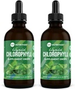 360 Nutrition Chlorofyl Liquid Drops with Peppermint Oil, GF & Vegan Body Internal Deodorant Supplement, Supports Gut Health, Digestion, Energy, Radiant Skin, Rýchla absorpcia (4 Fl Oz (2 Počet))