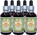PAU d'arco (Tabebuia Impetiginosa) Glycerit, sušená kôra Bez obsahu alkoholu Tekutý extrakt (nazývaný brad: HerbalTerra, hrdo vyrobené v USA) 5x2 fl.oz (5x60 ml)