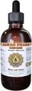 Hawaii Pharm Ginger Liquid Extract, Organic Ginger (Zingiber officinale) Tincovary Supplement 2 oz