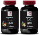 Denná energia - RESVERATROL Complex - Berry Blend, Hydratácia Balance, Výkonný Antioxidanty, Prírodné zložky, Noni Power, Berry Výhody, Nutrition Support, Osviežujúca chuť 2 Fľaše 120 Čiapky