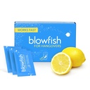 Blowfish for Hangovers - Rýchla úľava pri opici v 15 minút 