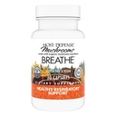 Host Defense Breathe* Kapsule - Immune & Respiratory Suplement Mushroom - Herbal Lung Health Supplement with Chaga, Reishi & Cordyceps - 30 Kapsule (15 Servings)