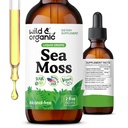 Wild & Organic Sea Moss Liquid Drops - Immune Support - Irish Sea Moss and Bladderwrack Tincture - Multimineral Chondrus Crispus Supplement - Vegan, Cukor a alkohol-free - 2 fl oz