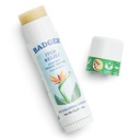 Badger Bug Bite Svrbenie Relief Stick, Natural & Organic Anti svrbenie krém pre Bug Bite, vyrážky a jedovatý Ivy, Rýchle svrbenie Relief kože po občerstvení, funguje skvele, vonia skvele, ľahko sa používa, .6 oz