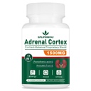 11-v-1 Adrenal Suplement, Cortisol Supplement with Pantothenic Acid a Ashwagandha - podporuje zdravú adrenálnu funkciu, energiu a relaxáciu- 60 kapsúl
