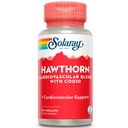 SOLARAY Hawthorn Special Formula, 150mg, 90 Počet