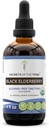 Tajomstvá Tinktúry bez alkoholu (Glycerit) 680 mg USDA Organic Black Elderberry (Sambucus Nigra) Sušené Berry (4 Fl Oz) Immune Suplement
