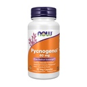 Teraz Foods Doplnky, Pycnogenol 60 mg (unikátny Combo of Proanthocyanidins from French Maritime Pine) s Acerola & Rutin Powder, 50 Veg kapsuly