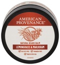 American Provenance Premium Natural Beard and Mustache Balm for Men with Shea Butter, Jojoba Oil, Argan Oil - Grooming Balm that Conditions, Hydratuje a Strenthens Beards and Mustaches of Any Length