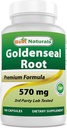 Najlepšie prírodné Goldenseal Root 570 mg (Non- GMO) 100 kapsúl
