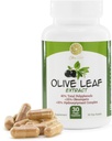 Olive Leaf Extract - 500mg - Supplement Standardized to 25% Oleuropein - 20% Hydroxytyrosol - 40% Polyfenoly - Non-GMO + Gluten Free + Dairy Free + Soy Free + Vegan (30 Kapsule)