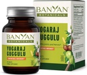 Banyan Botanicals Yogaraj Guggulu 