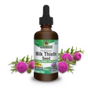 Nature's Answer Milk Thitle 2 Ounce Extract - Alkohol bez, Non GMO, Pečeň podpora Doplnok pre každého - Pečeň Detox, Made in USA