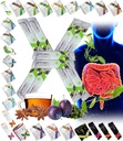 All Natural Detox Cleanse Instant Tea Mix Prune & Plum w. Fiber & Inulin pre Optimal Intestinal Transit by FuXion Prunex 1 (10 vrecko)