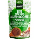 Wixar Mushrom Powder - Ten poklad Huby extrakt doplnok Zmes pre kávu a smoothies - Lions Mane, Turecko chvost, Reishi, Chaga, Shiitake, Cordyceps, Complex - 4oz Mushroom Supplement