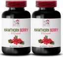 Hawthorn extrakt doplnok - Hawthorn BBERRIES EXTRACT - bobule doplnok, antioxidant doplnok pre ženy, antioxidant bobule, organické Hawthorn bobule extrakt, antioxidanty pre ženy 2 Bot 120 Caps