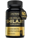 Atlantis Nutrition Himalayan Shilajit Kapsule Formulované s 20% Fulvic Acid 10:1 extrakt Providing 10 000mg D.H.E.