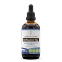 Secrets of the Tribe Tongkat Ali Alkohol-Free Liquid Extract, Wildcrafted Tongkat Ali (Eurycoma longifolia) Sušený koreň (4 FL OZ)