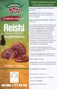 Reishi Mushroom Supplement/Our Reishi Mushroom Extract Propaguje dlhovekosť/Reishi Mushroom Tinture - 50ml / 1.7 Fl Oz