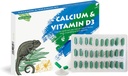 Vápnik plaz s pridaným vitamínom D3, Ideálne pre medvedí draci, korytnačky a ďalšie