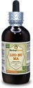 Luo Bu Ma, Dogbane (Apocynum Venetum) Tinktúra, sušený Leaf Liquid Extract (Brand Name: HerbalTerra, Proudly Made in USA) 4 fl.oz (120 ml)