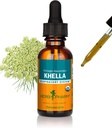 Herb Pharm Khella Liquid Extract for Respiration System Support - 1 Ounce (DKHELL01)