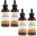 Maxx Herb Astragalus Root Extract - Max Strength Liquid Tinture Absorbs Better Than Capsules or Powder, for Immune Support and Mental Clarity - 4 Bottles, 4 Oz Each (240 Servings)