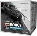Mikrokonské probiotiká pre kone - Premium Equine Digestive Health Supplement