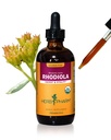 Herb Pharm Certified Organic Rhodiola Root Extract for Energy, Endurance and Stamina, Glycerit bez obsahu alkoholu, 4 Ounce