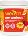 Wellah pre-práce nápoj Mix (Ovocné Punch Ochutené, 30 Servings) - s Citrulline Malate a L-Theanine, 200 mg prírodného kofeínu & 1000 mg Beta-Alanínu
