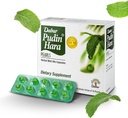 Dabur Pudin Hara Pearls - Denná trávenie starostlivosti Doplnky pre mužov a ženy, pomáha zmenšovať príznaky chvenie, kyslosť, plynatosť a poruchy trávenia pre trávenie a zdravie Gut, počet 400 (Pack of 40)
