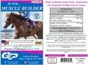 SU-PER svalovej Builder Horse Supplement - Tréning a podpora výkonu pre výkon svalovej - 1 Gallon + čerpadlo