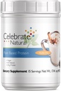 Osláviť vitamíny Vegánsky proteín prášok - Všetky prírodné rastliny na báze bielkovín Shake Mix - 20g Pea Protein & 3g Fiber, pre post-Bariatrická chirurgia - Vanilla Chai (15 Servings)