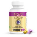 EXIR SWF Doplnok 