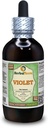 Violet (Viola Yedoensis) sušený rastlinný tekutý extrakt bez obsahu alkoholu (názov brand: bylinná tera, hrdo vyrobené v USA) 4 oz