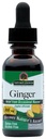 Nature's Answer Alkohol-free Ginger Root, 1-Fluid Ounce 