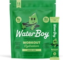 Waterboy Workout Hydration | 2,960mg Sugar Free Electrolyte Powder Packets | L-Glutamine + Vitamins | No Sugar, All Natural, Gluten Free | 15 Drink Stick Mixes (Lemon Lime)