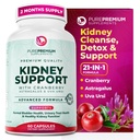 PurePremium Support Doplnková podpora obličiek Čistenie obličiek Detox & Oprava s brusnicovým extraktom & Astragalus - 21-in-1 Komplex podporuje normálny močový mechúr, močové tract & Obličky zdravie - 60 dní
