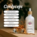 Rainbo - Cordyceps Mushroom Tinture - Bezalkohol - Dual Extract Mushroom Supplement - Immune Support, Energy, Liquid Cordyceps Supplement, Vegan, Non GMO, 3.4 fl oz