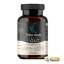 TERRA ORIGIN Zdravá Gut Reset PM 