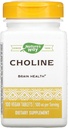 PRÍRODA 500Mg 100 Tb Choline, 100 CT