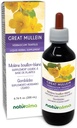Naturalma Great Mullein alebo Common Mullein (Verbascum thapsus) Kvetina a list Alkohol-Free Tinture - 6.76 fl oz Tekutý extrakt v kvapkách - Bylinné doplnok - Vegan