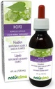 Naturalma Chops (Humulus lupulus) strobilus alebo Cone (Ženské kvety) Alkohol-Free Tinture - 4 fl oz Tekutý extrakt v kvapkách - Bylinné doplnok - Vegan