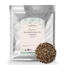 Starwest Botanicals Burdock Root Organic - prírodný zdroj antioxidantov, voľný Herb na čaj, ryža, polievka, & Stews, Cut & Sifted, Certified Kosher, Non-GMO - hromadne 1 lb Bag