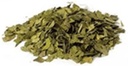 Najlepšie Botanicals Ginkgo Leaf Cut 16 oz.