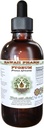 African Cherry Pygeum Liquid Extract bez obsahu alkoholu, African Cherry Pygeum (Prunus Africana) Bark Glycerit Natural Herbal Supplement, Hawaii Pharm, USA 4 oz